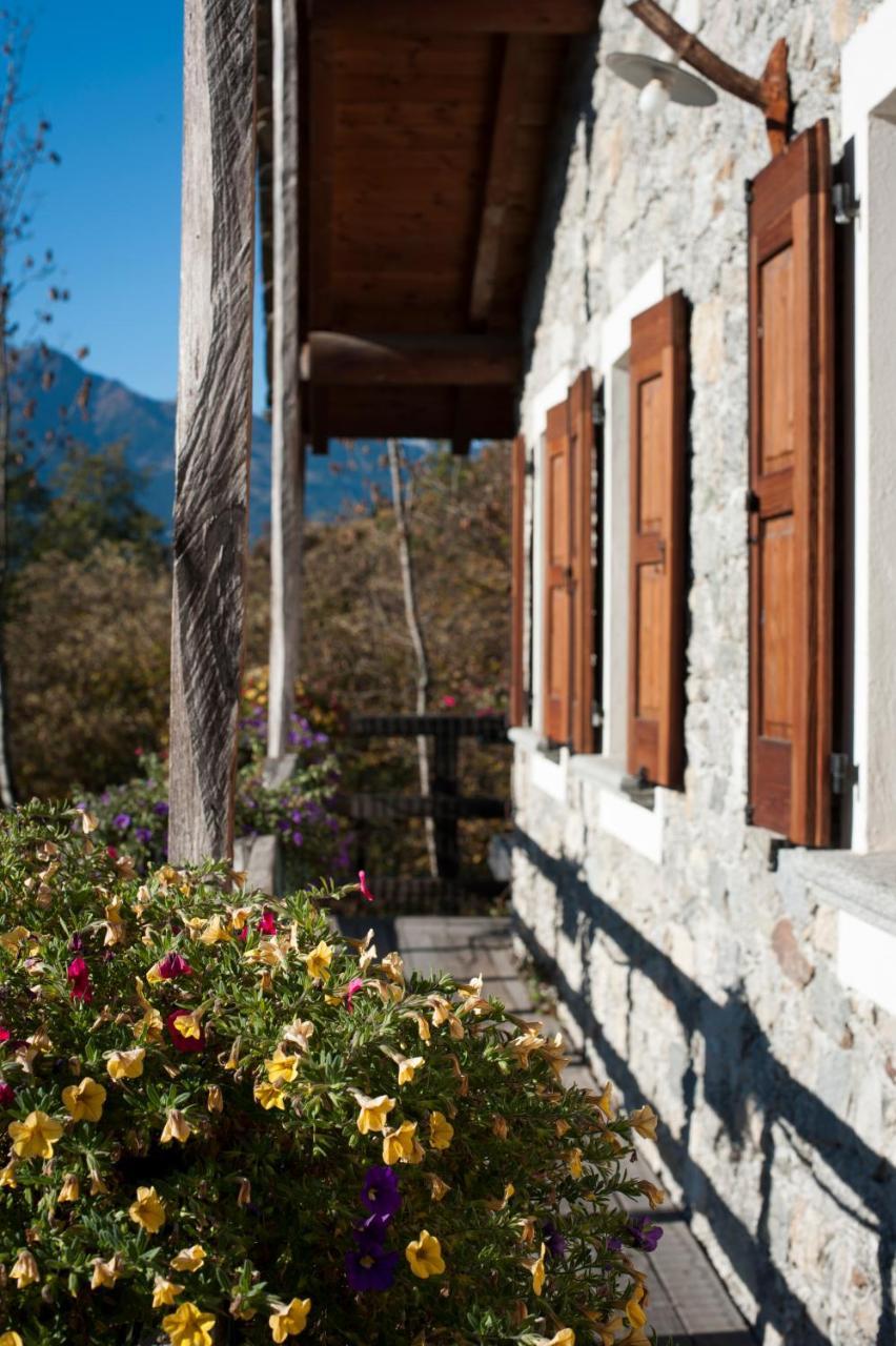 Agriturismo La Pedruscia Civo Extérieur photo